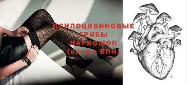 индика Армянск