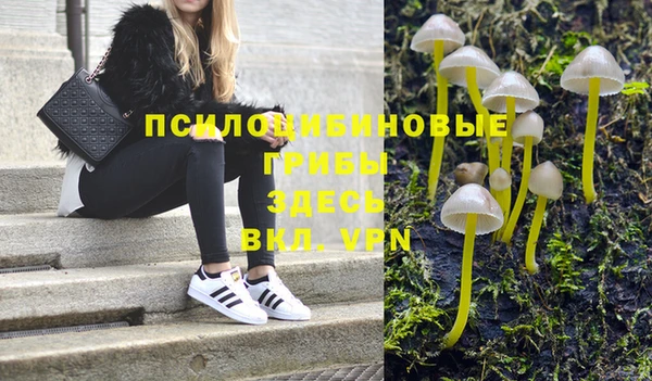 СК Аркадак